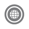 International Business Intelligence_Grey.png